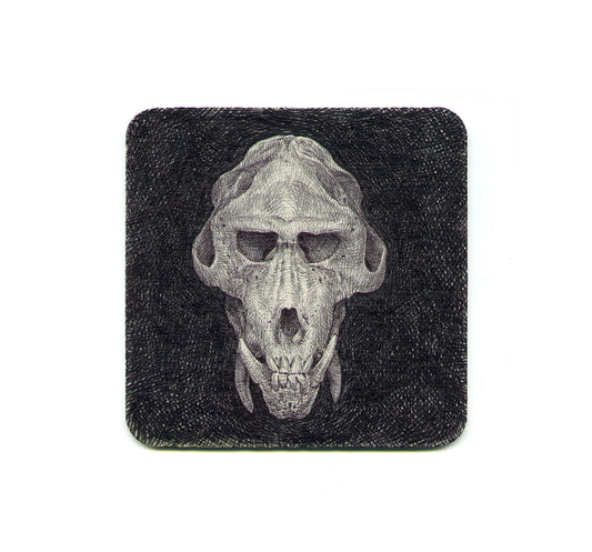 S1 Guno Park - Ape Skull Coaster