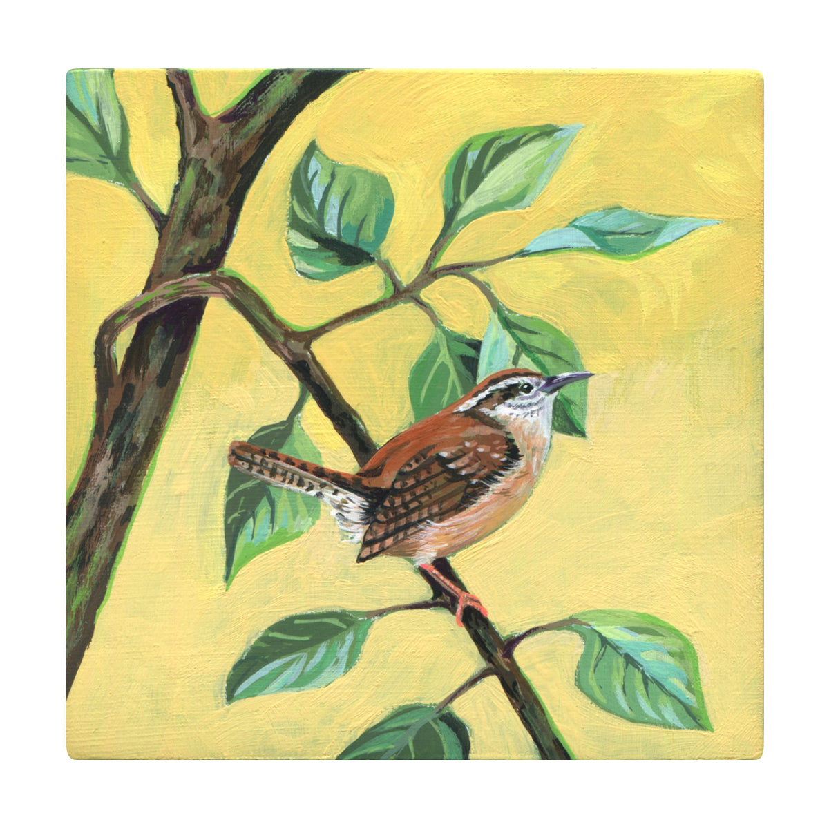 Liz Clayton Fuller Carolina Wren Nucleus Portland 0280