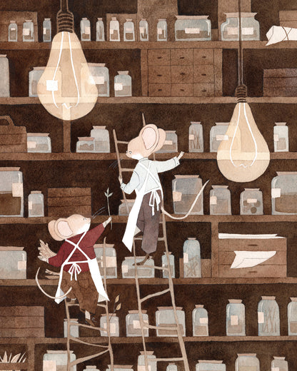 Vanessa Gillings - Apothecaries