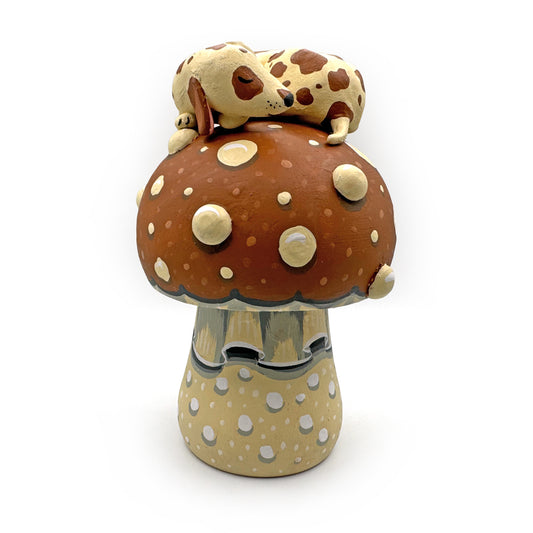 C2 - Kyler Martz Mushroom
