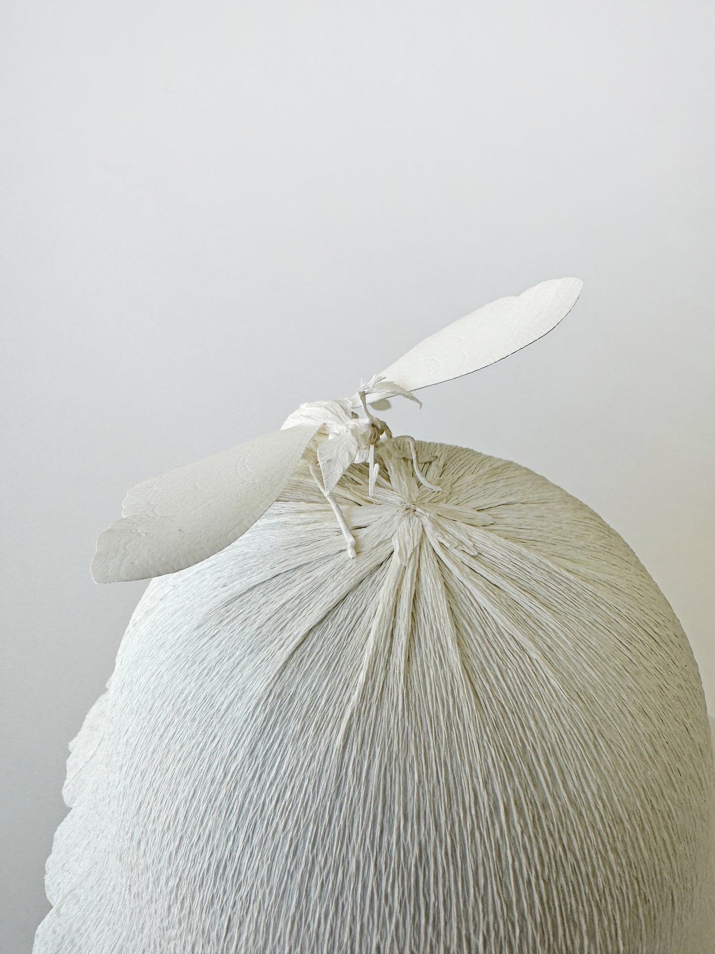 C2 - Marisa Aragon Ware Mushroom