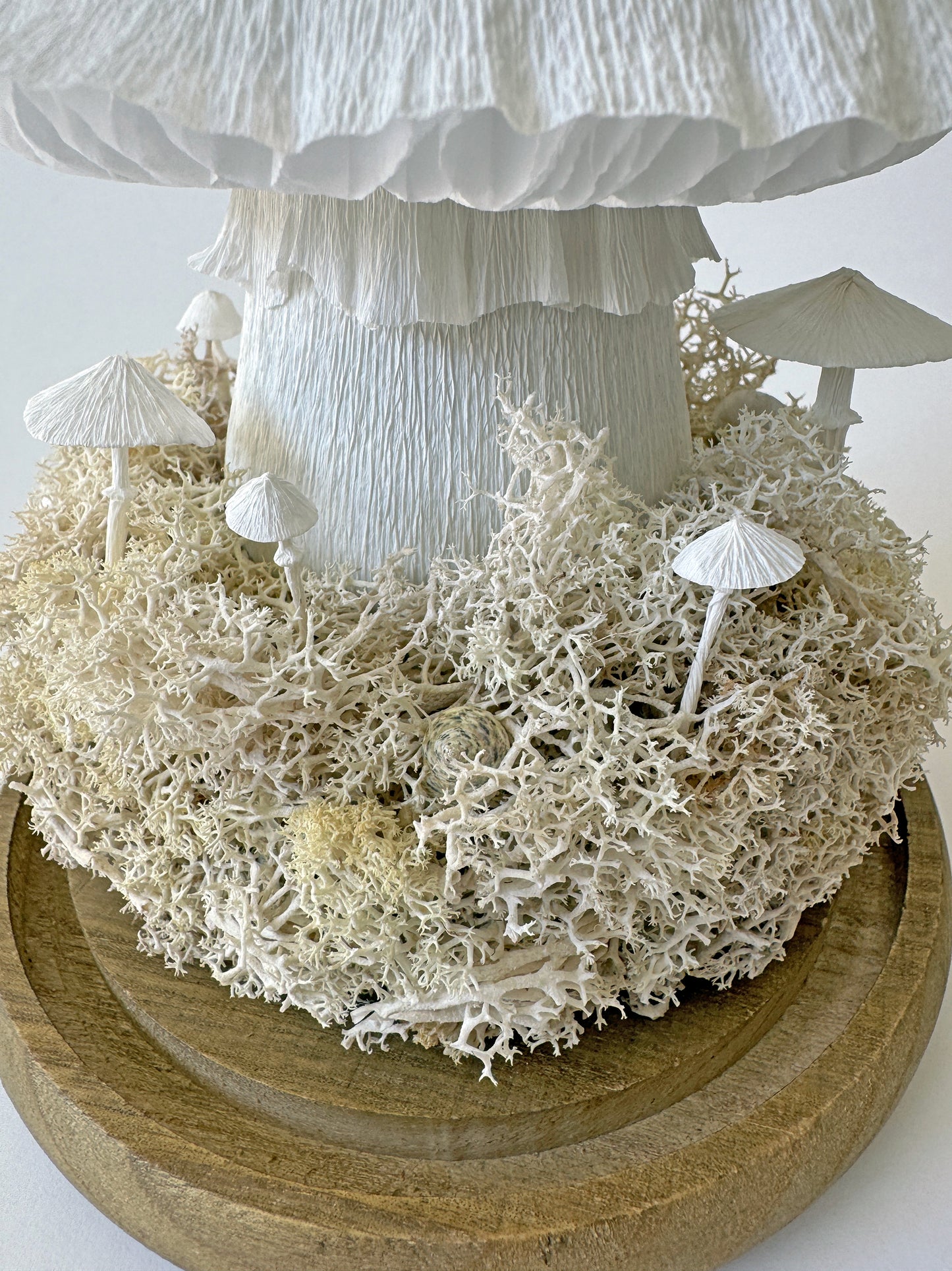 C2 - Marisa Aragon Ware Mushroom