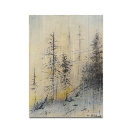 P9 - Brooks Shane Salzwedel Postcard 1