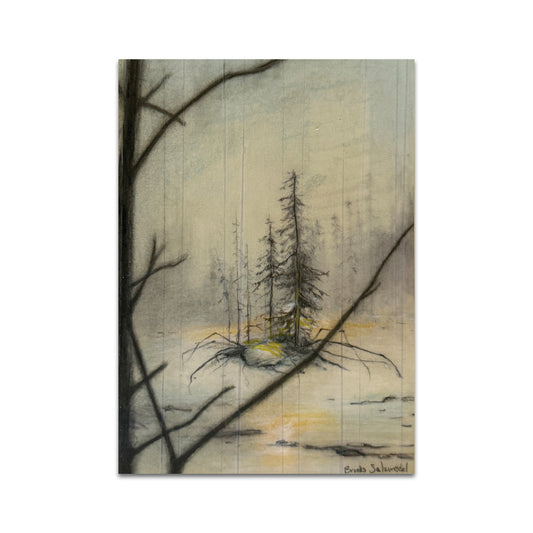 P9 - Brooks Shane Salzwedel Postcard 2