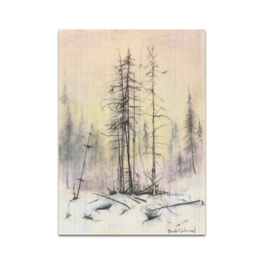 P9 - Brooks Shane Salzwedel Postcard 3