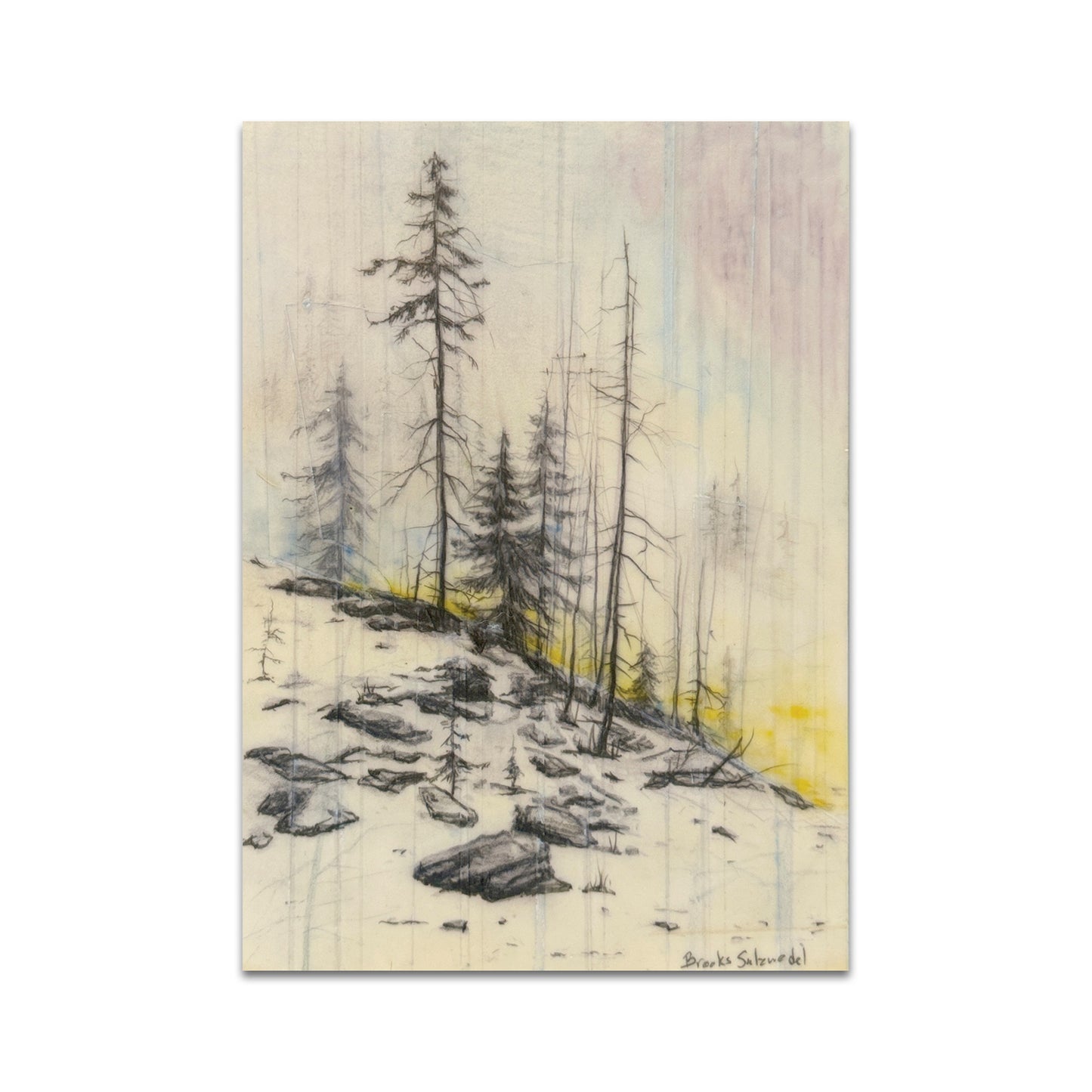 P9 - Brooks Shane Salzwedel Postcard 4