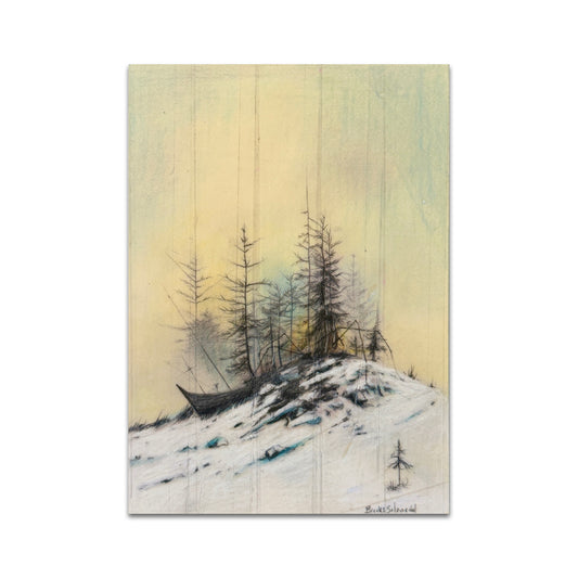 P9 - Brooks Shane Salzwedel Postcard 5