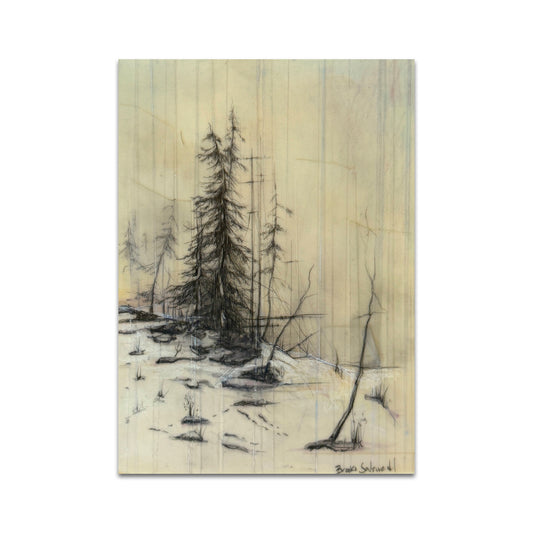 P9 - Brooks Shane Salzwedel Postcard 6