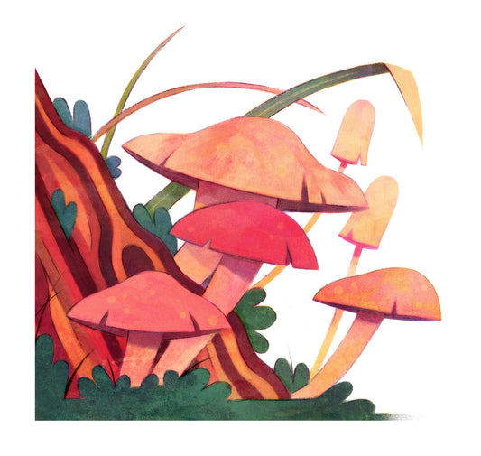 Taylor Price - Little Mushroom Print