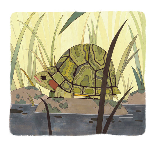 Taylor Price - Turtle Pond Print