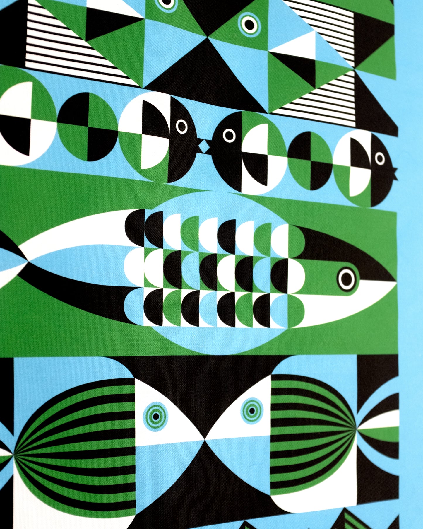 Lesley Barnes & Ross McAuley - Fish Banner