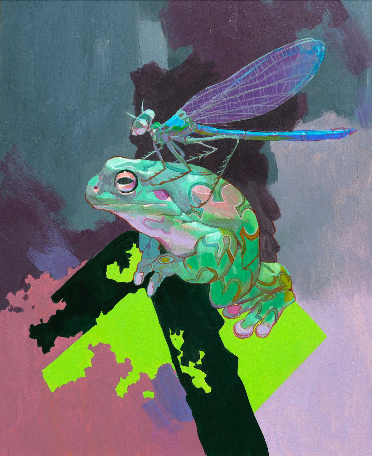 Eliza Ivanova - Frog and Dragonfly As Unlikely Friends