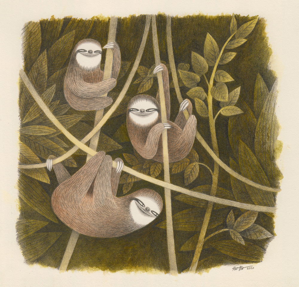 Kim Slate - Three Three-Toed Sloths