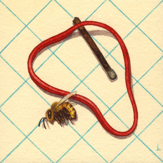 Julian Callos - Junk Drawer (Honey Bee)