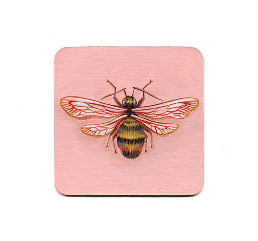 S1 Becca Barnet - Bee Coaster