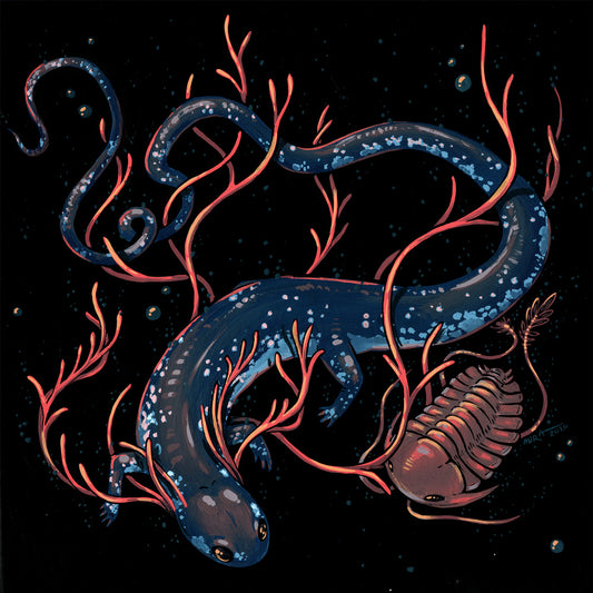 Miranda Zimmerman - Blue Spotted Salamander