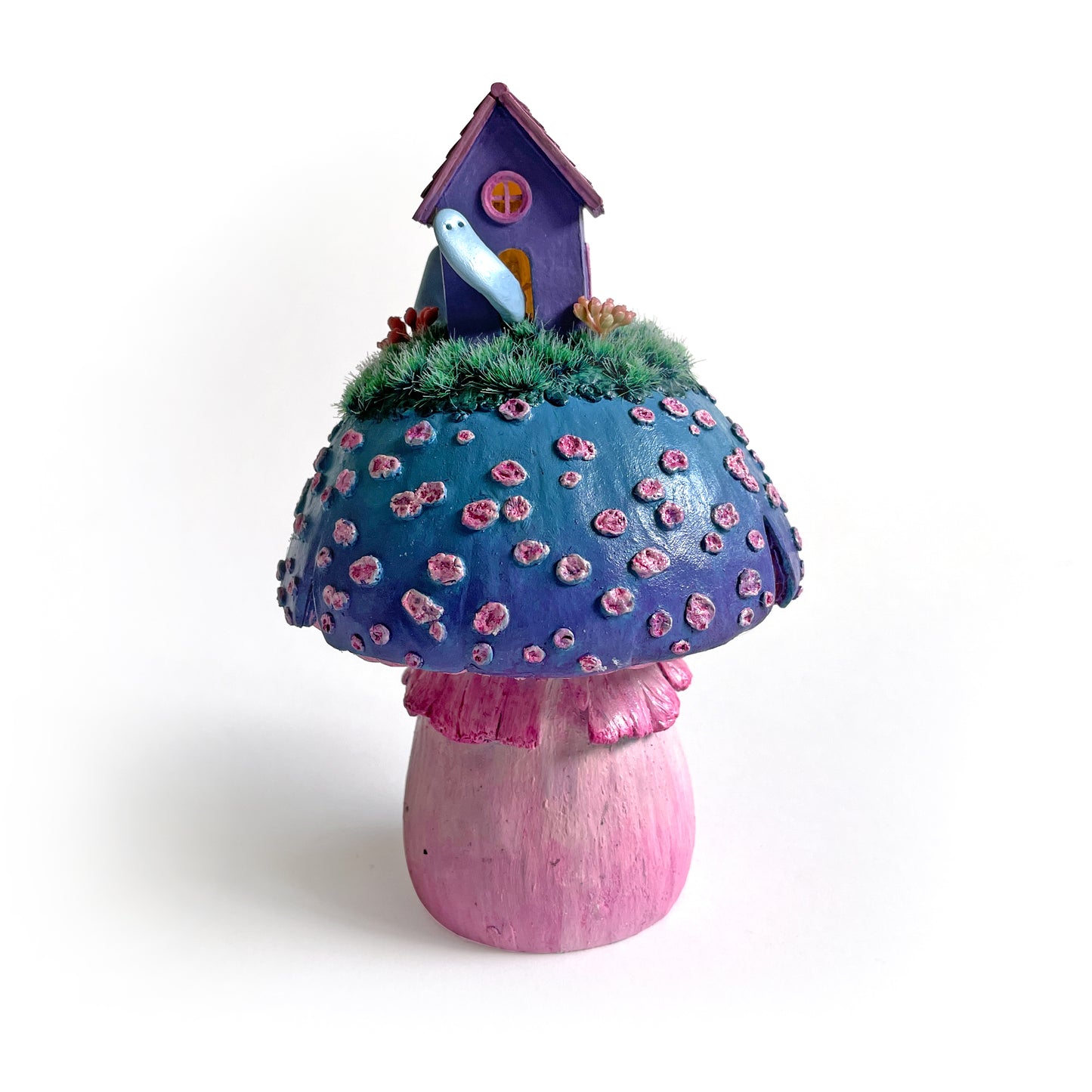 C1 - Babs Webb Mushroom