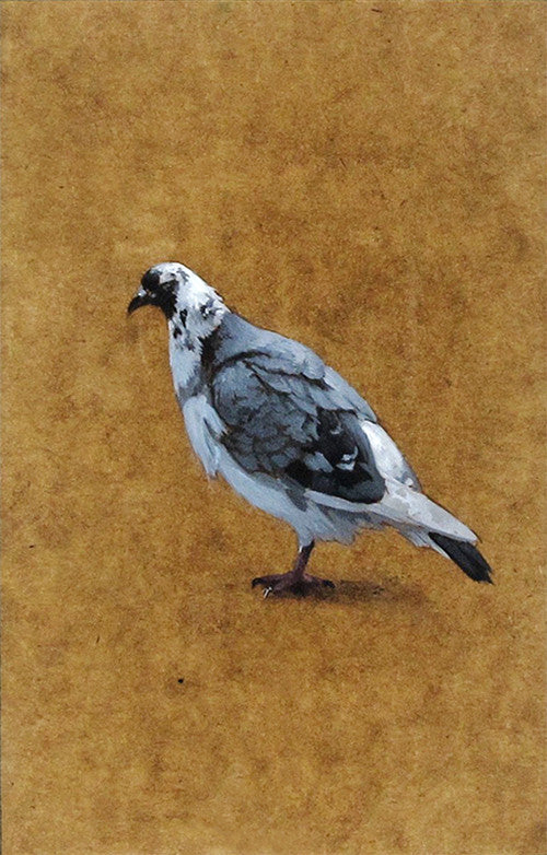 Dina Brodsky - Pigeon