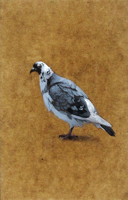 Dina Brodsky - Pigeon