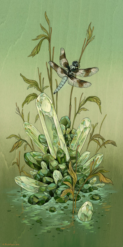 Nicole Gustafsson - Eight-Spotted Skimmer