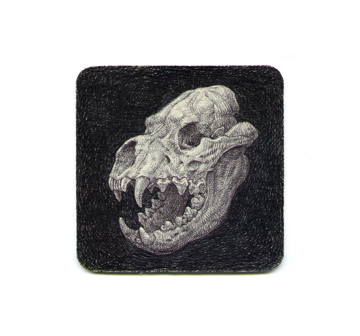 S1 Guno Park - Dino Skull Coaster