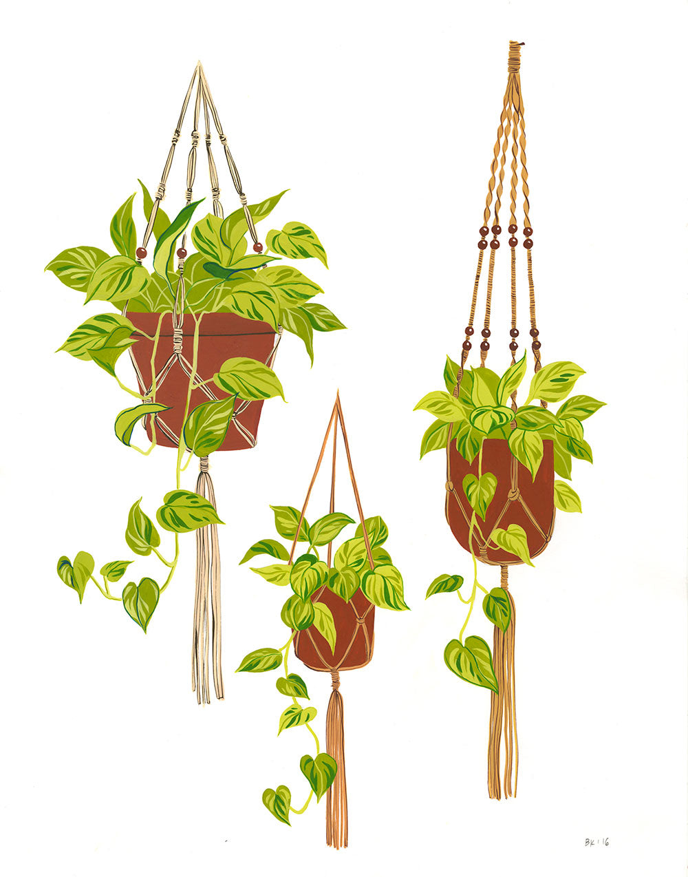 Bijou Karman - Hanging Plants