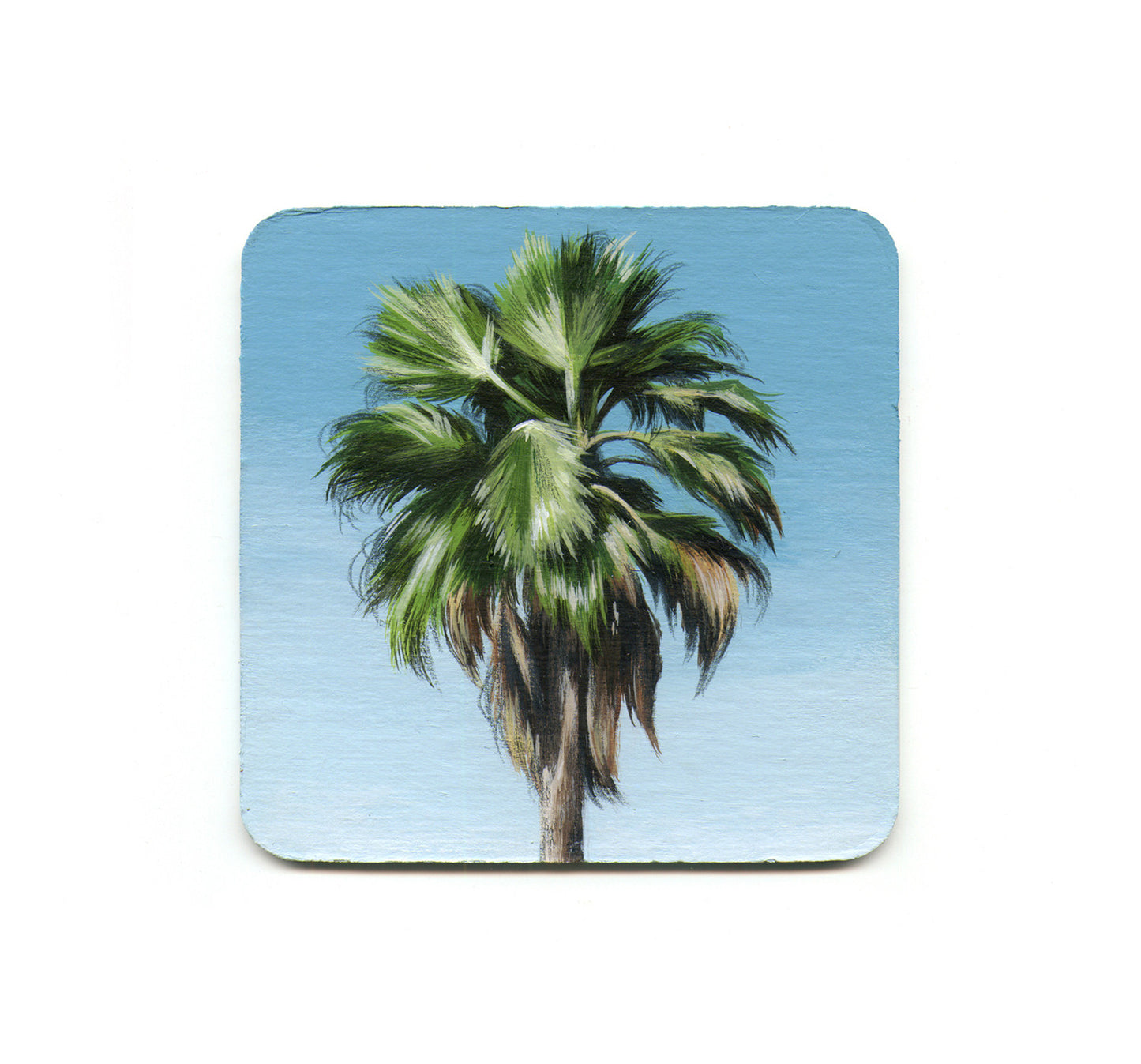 S1 Jaya Nicely - Highland Park Palm Coaster