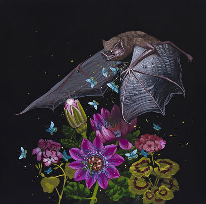 Kane Kokaris - Pollinate