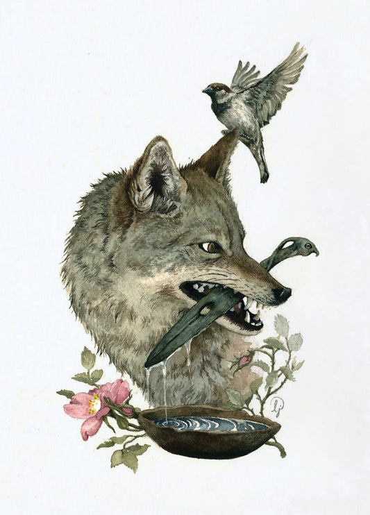 Lily Seika Jones - The Wolf and the Sparrow