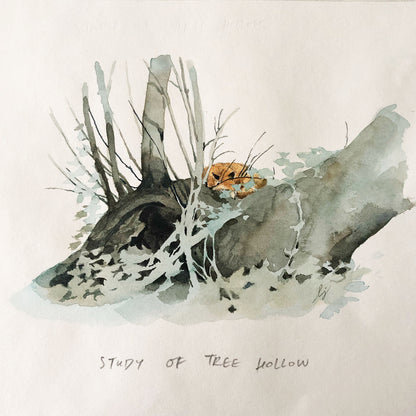 Lily Seika Jones - Study of Tree Hollow