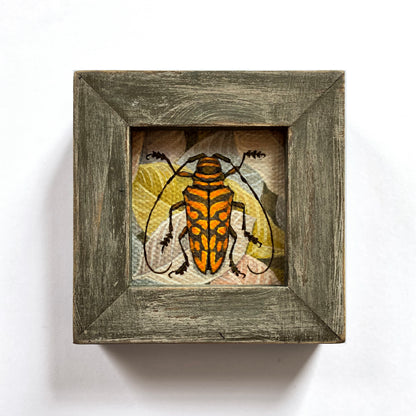 Vasilisa Romanenko - Longhorn Beetle