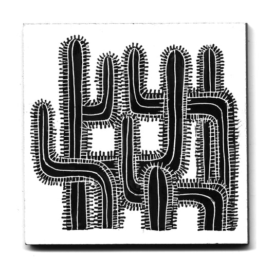 Cristina Bencina - Cactus Maze