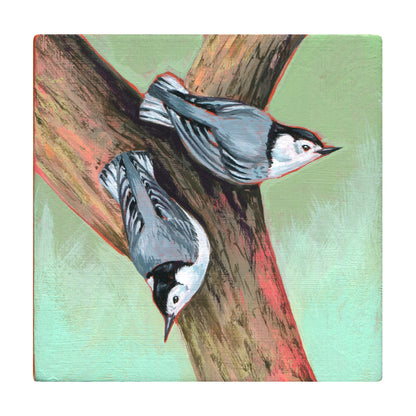 Liz Clayton Fuller - White Breasted Nuthatches