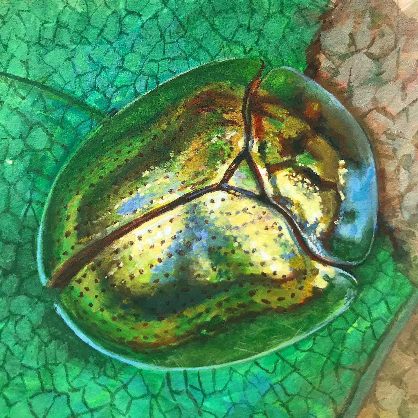 Tegan Bellitta- Golden Tortoise Beetle