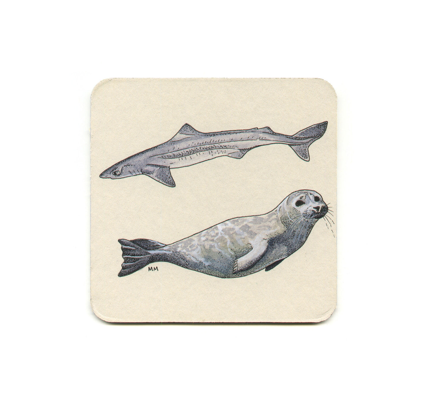 S1 Madison Erin Mayfield - Spiny Dogfish & Pacific Harbor Seal Coaster