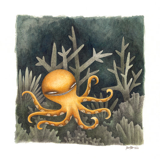 Kim Slate - One Octopus Print