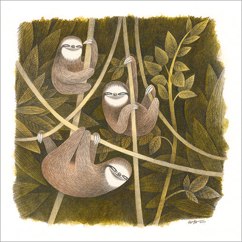 Kim Slate - Three Three-Toed Sloths Print