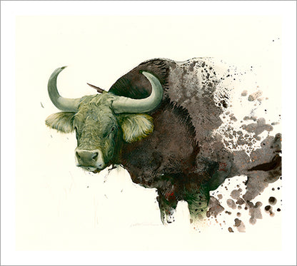 Sam Weber - Bull Print