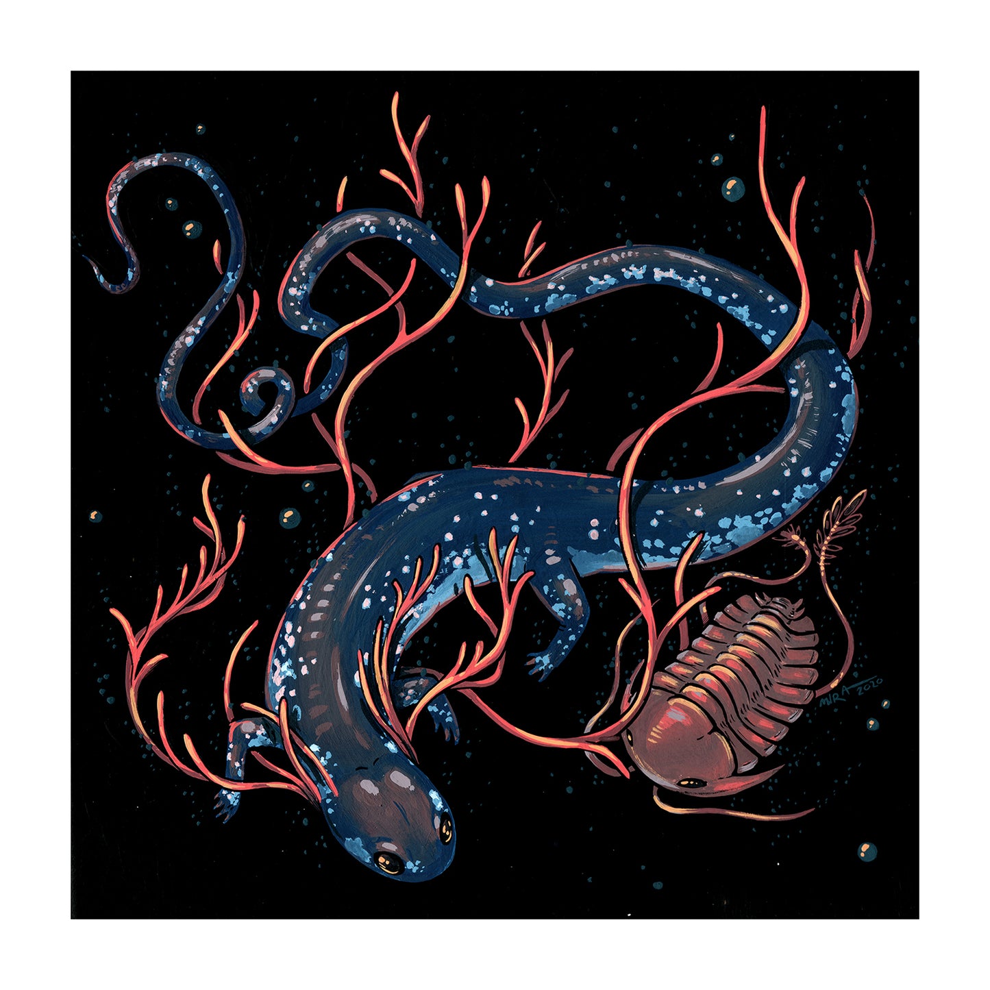 Faunwood - Blue Spotted Salamander Print
