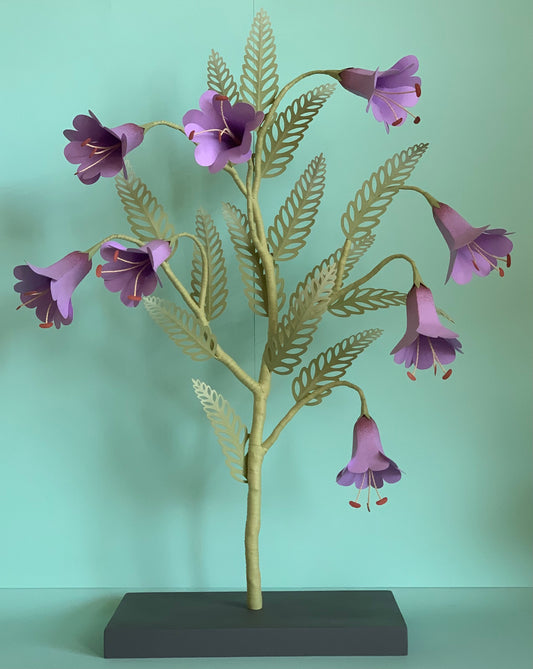 Cat Johnston - Purple flowering plant