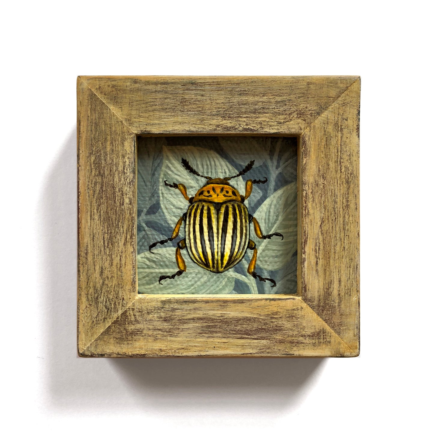 Vasilisa Romanenko - Colorado Beetle