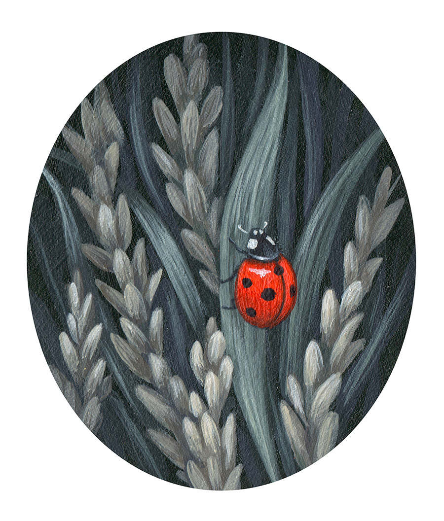 Vasilisa Romanenko - Ladybug – Nucleus Portland