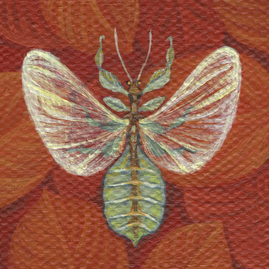 Vasilisa Romanenko - Leaf Insect