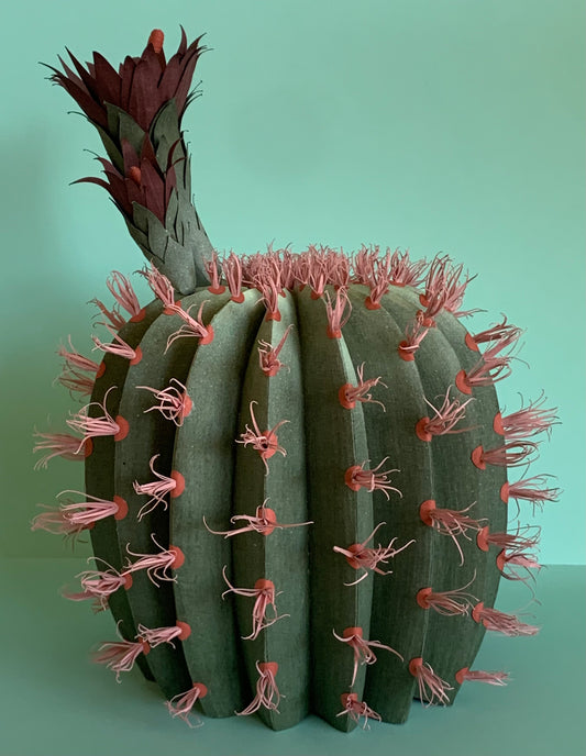 Cat Johnston - Barrel cactus