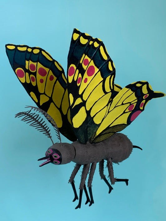 Cat Johnston - Butterfly
