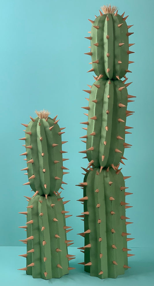 Cat Johnston - Cactus Set