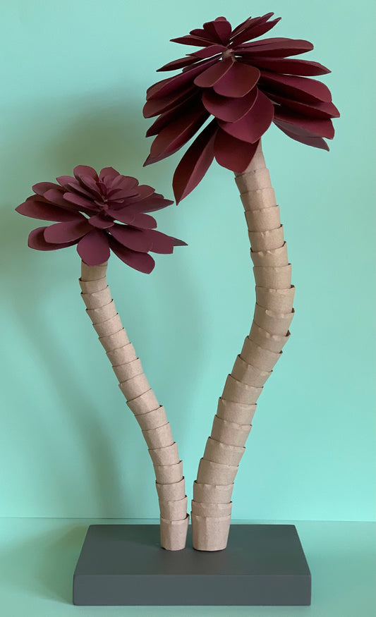 Cat Johnston - Maroon rosette succulent
