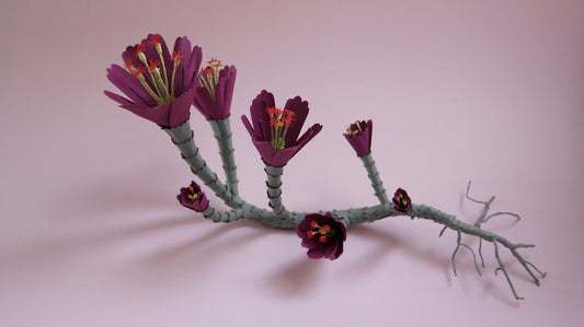 Cat Johnston - Small purple plant