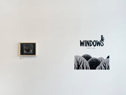Matt Schu - Window 10